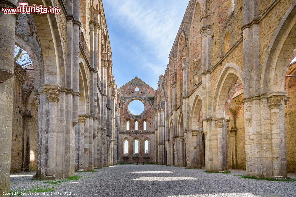 Immagine Dentro all'Abbazia di San Galgano a Chiusdino in Toscana - © Georgia Carini / Shutterstock.com