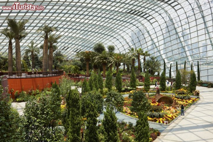 Immagine Interno dei Gardens by the Bay a Singapore. Si estendono su una superficie di 101 ettari - © 125810774 / Shutterstock.com