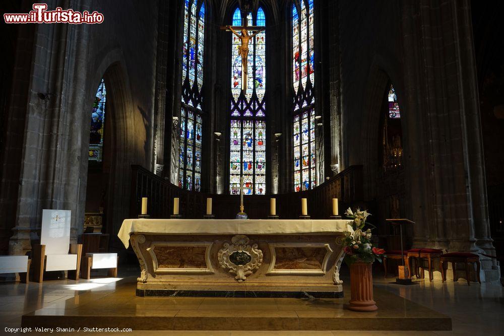 Immagine Interno della cattedrale di Nostra Signora dell'Annunciazione a Bourg-en-Bresse, Francia - © Valery Shanin / Shutterstock.com