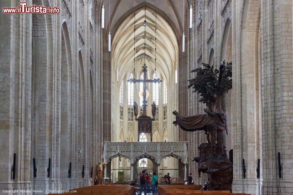 Immagine Interno della cattedrale di San Pietro a Leuven, Belgio. All'interno sono custodite preziose opere d'arte fra cui capolavori di Dirk Bouts - © Alexey Pevnev / Shutterstock.com