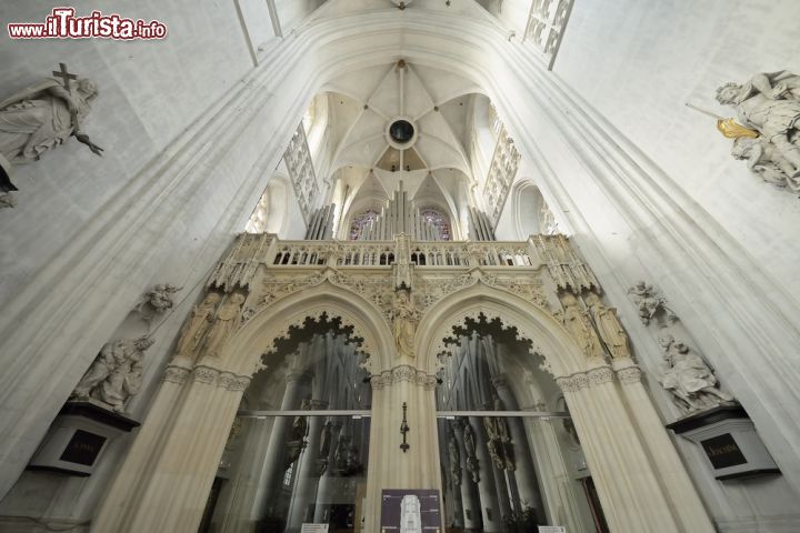 Immagine Interno della cattedrale di San Rombaldo a Mechelen, Belgio. Questo edificio è stato consacrato nel 1312 - © 222085246 / Shutterstock.com