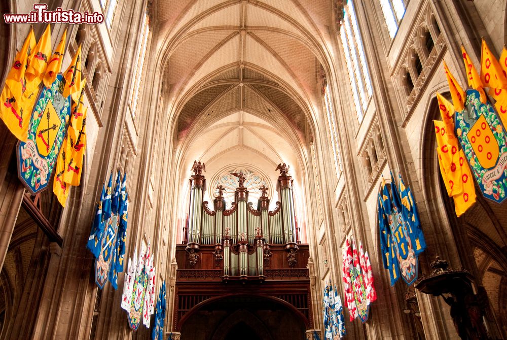 Immagine Interno della cattedrale di Santa Croce a Orléans, Francia.