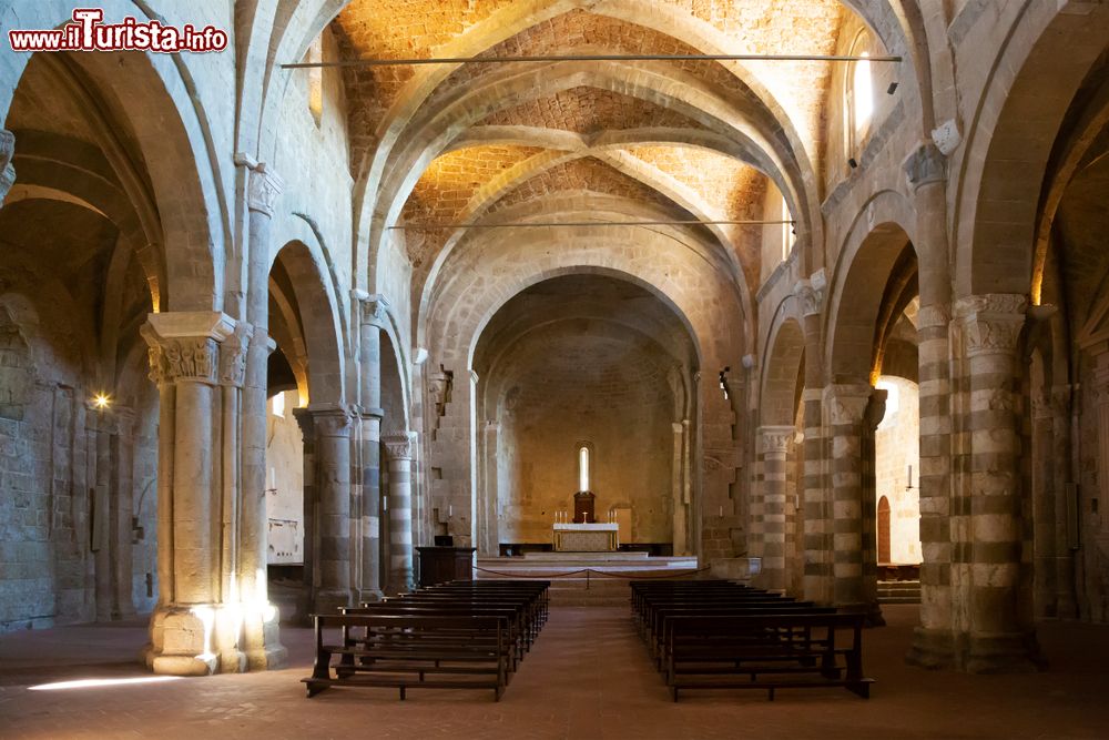 Immagine Interno della Cattedrale romanica di Sovana, Maremma Toscana, Italia - © spatuletail / Shutterstock