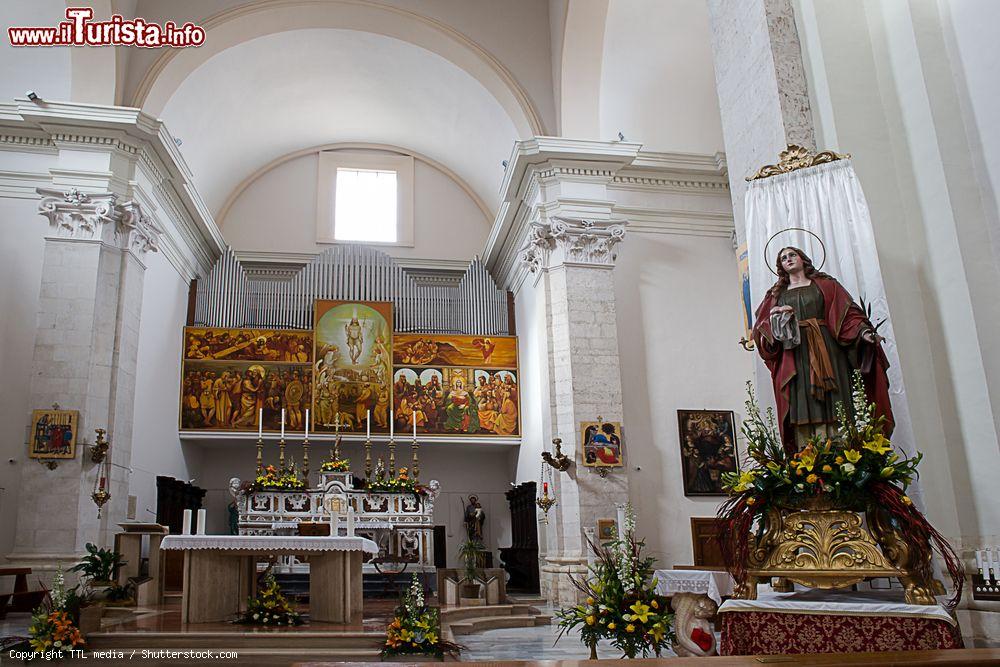 Immagine L'interno della chiesa di San Francesco a Popoli, Abruzzo. Questo edificio religioso, che risale al XV° secolo, si presenta con pianta rettangolare a navata unica - © TTL media / Shutterstock.com