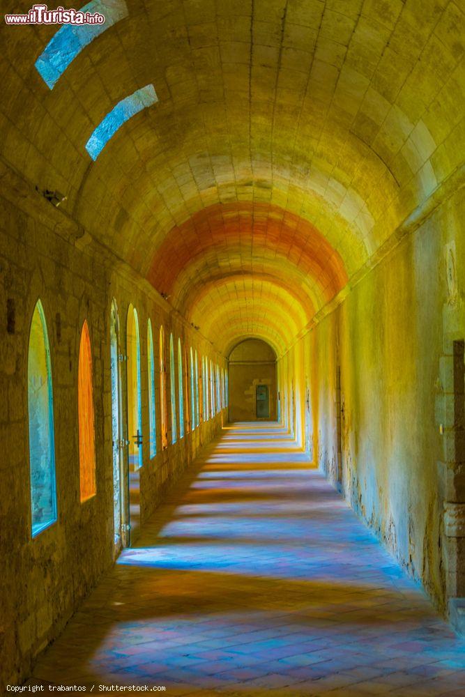Immagine Interno dell'antica Certosa di Notre Dame du Val de Benediction a Villeneuve-les-Avignon (Francia). Venne fatta costruire da papa Innocenzo VI° fra il 1356 e il 1358 - © trabantos / Shutterstock.com