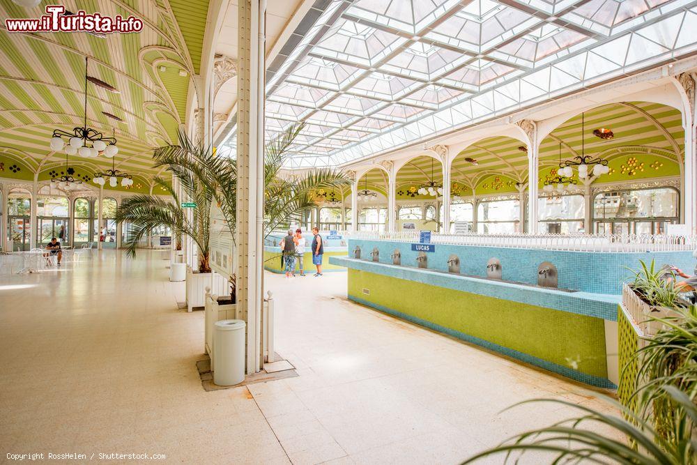 Immagine Interno di una sala delle terme di Vichy con acqua curativa, Francia - © RossHelen / Shutterstock.com