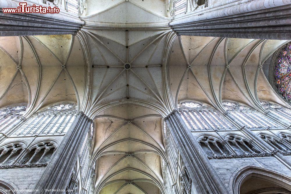 Immagine Interno e dettagli architettonici della cattedrale gotica di Amiens, Francia. Dichiarata dall'Unesco patrimonio universale dell'umanità, è la più grande delle cattedrali di Francia - © photogolfer / Shutterstock.com