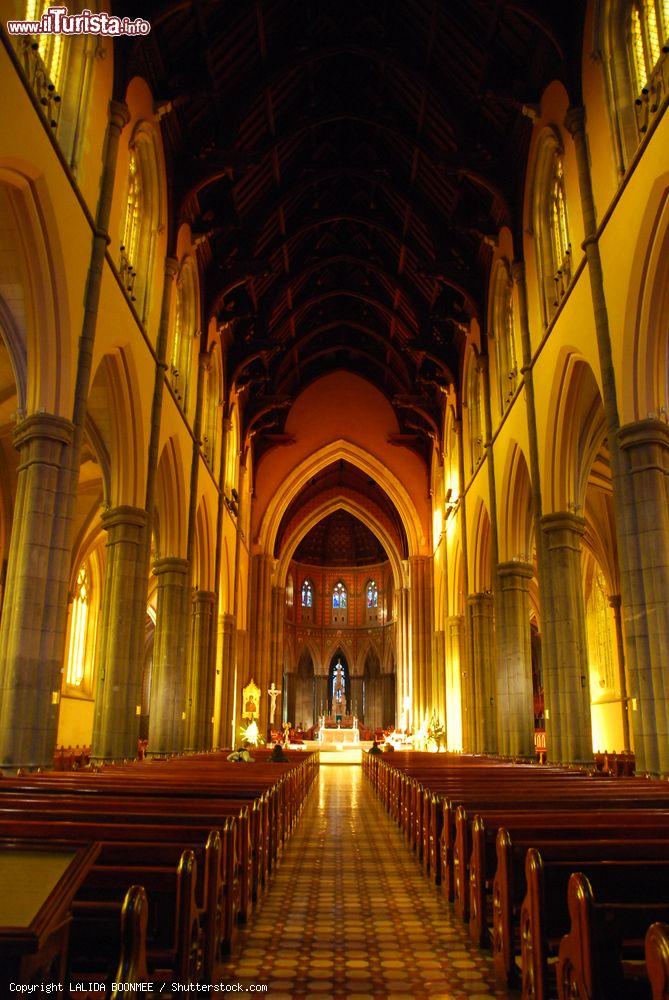 Immagine Interno illuminato della cattedrale di San Patrizio a Melbourne, Australia - © LALIDA BOONMEE / Shutterstock.com