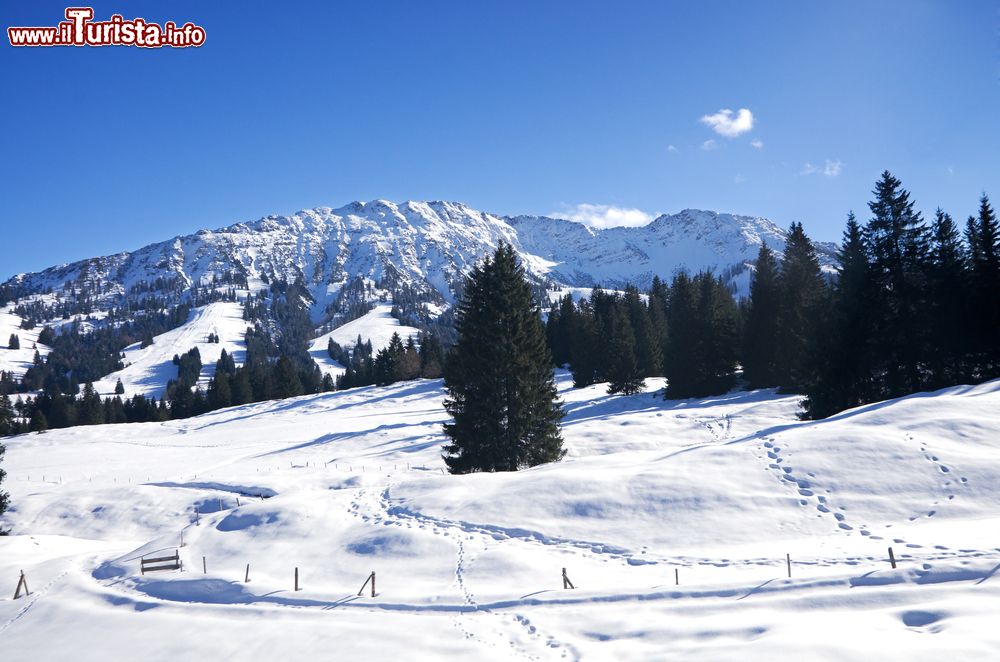 Immagine Inverno con la neve in Allgau: Oberjoch e Bad Hindelang, Germania.