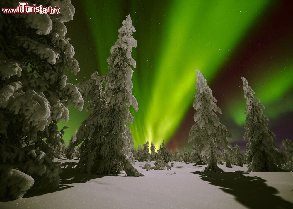 Immagine Tromso, Norvegia: la stagione migliore per ammirare l'aurra boreale è l'inverno