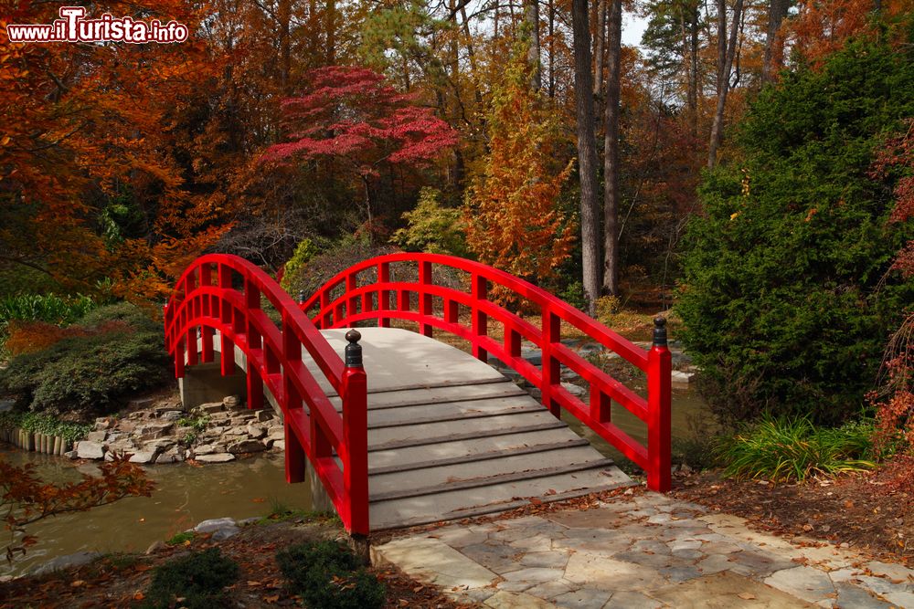 Immagine Iris Bridge (Ayamebashi) nei giardini dedicati a Sarah P. Duke alla Duke University, Carolina del Nord.