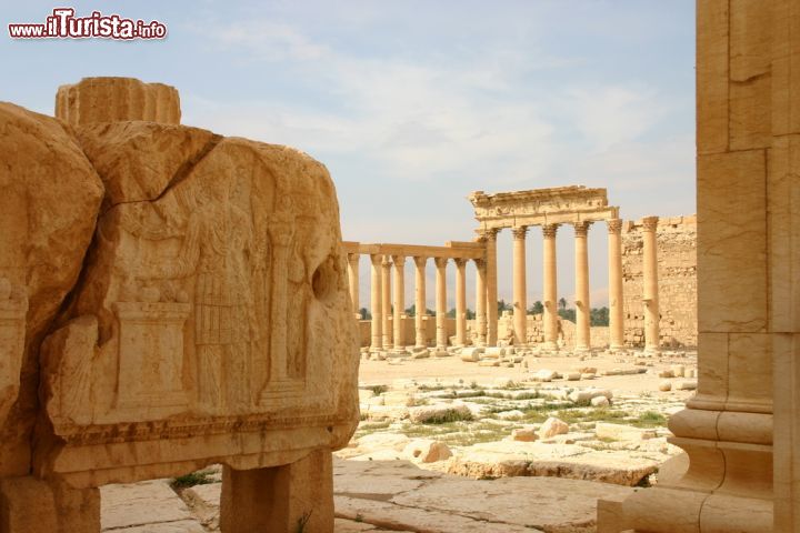 Immagine Città romana di Palmira, in Siria, è oggi minacciata dall'espansione dell'ISIS lo stato islamico / Shutterstock.com