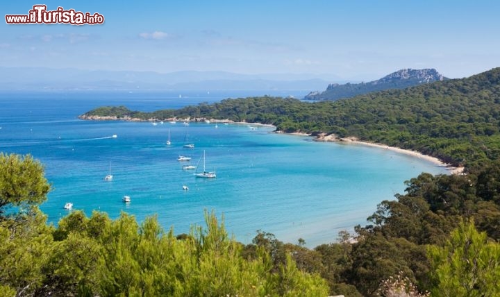 Le foto di cosa vedere e visitare a Porquerolles