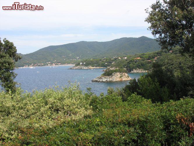 Immagine Isolotto della Paolina all'isola d'Elba, provincia di Livorno, Toscana. Famosa per l'isolotto dedicato alla sorella di Napoleone Bonaparte, la spiaggia della Paolina è caratterizzata da acqua turchese e da un folto bosco di lecci.