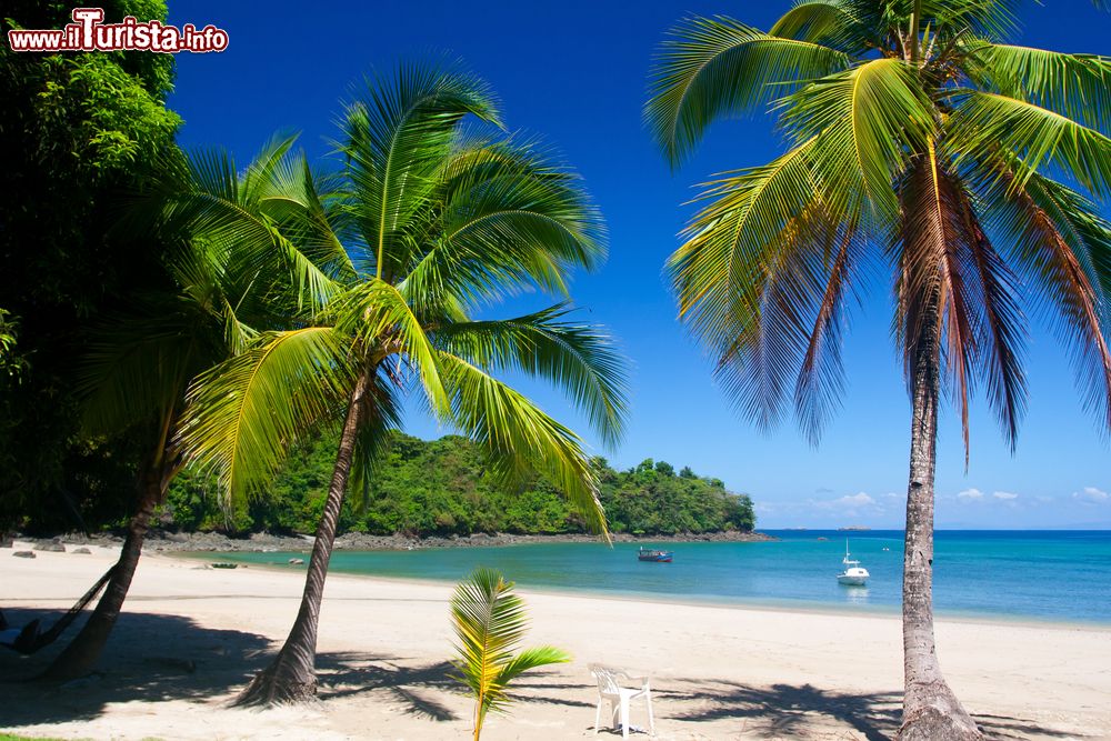 Immagine L'isola di Coiba, Panama. Quest'area protetta creata nel 1991 si estende su una superficie di oltre 270 mila ettari e si trova nella provincia di Veraguas.