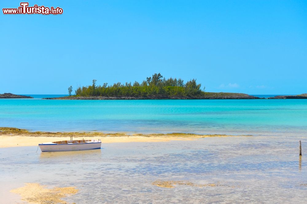 Immagine Isola di Eleuthera, Bahamas: acqua cristallina, sabbia rosa e natura rigogliosa.