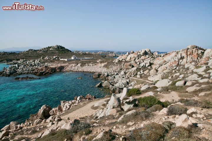 Immagine Isola di Lavezzi, Corsica: meta ideale per le immersioni e gli appassionati di snorkeling. Qui, durante le immersioni, è possibile incontrare esemplari di cernia bruna a una profondità fra i 20 e i 35 metri.