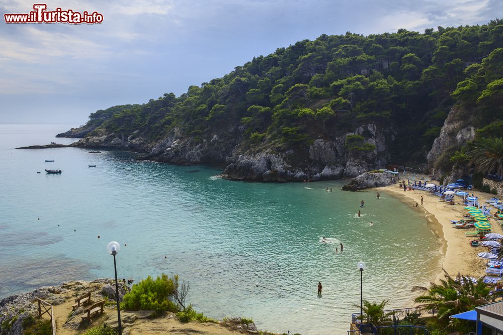 Immagine L'isola di San Domino è la più popolata delle Tremiti. Qui siamo a Cala delle Arene, la principale spiaggia di sabbia dell'isola.