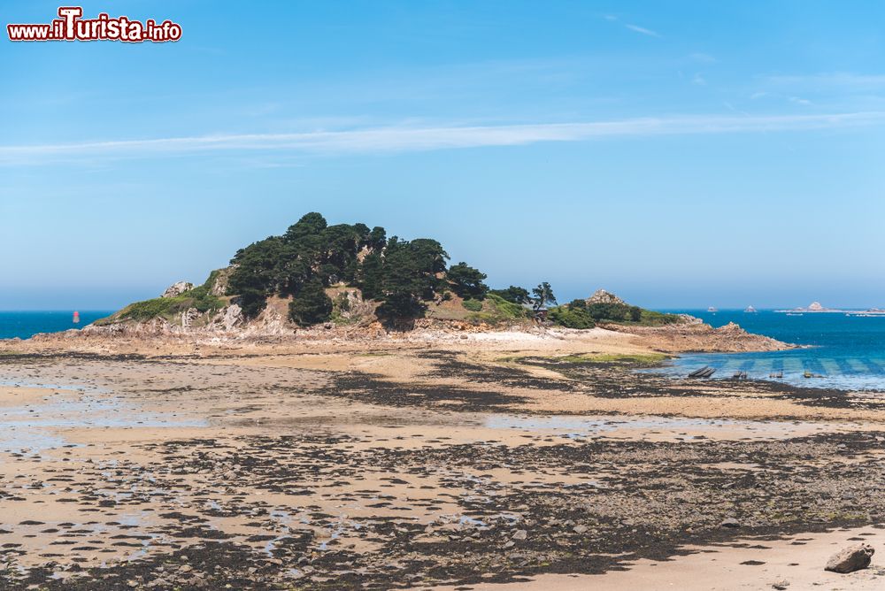 Immagine L'isola di Sterec nella baia di Morlaix, Francia: è una delle più belle fra gli isolotti che costellano questo lembo di mare di fronte alla Bretagna.