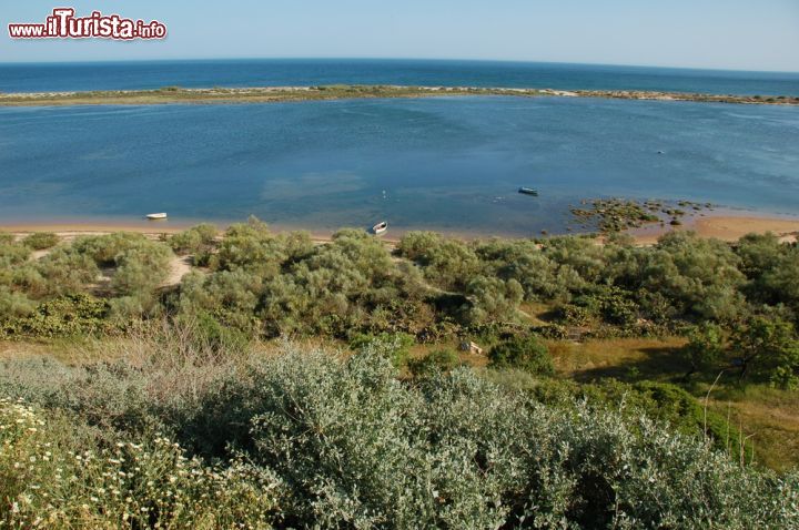 Immagine Isola di Tavira in Algarve, Portogallo - Una bella immagine estiva di Tavira dove l'escursione più consigliata è quella per l'omonima isola, una delle varie formazioni sabbiose che formano il Parque Natural da Ria Formosa © Agostinho Goncalves / Shutterstock.com