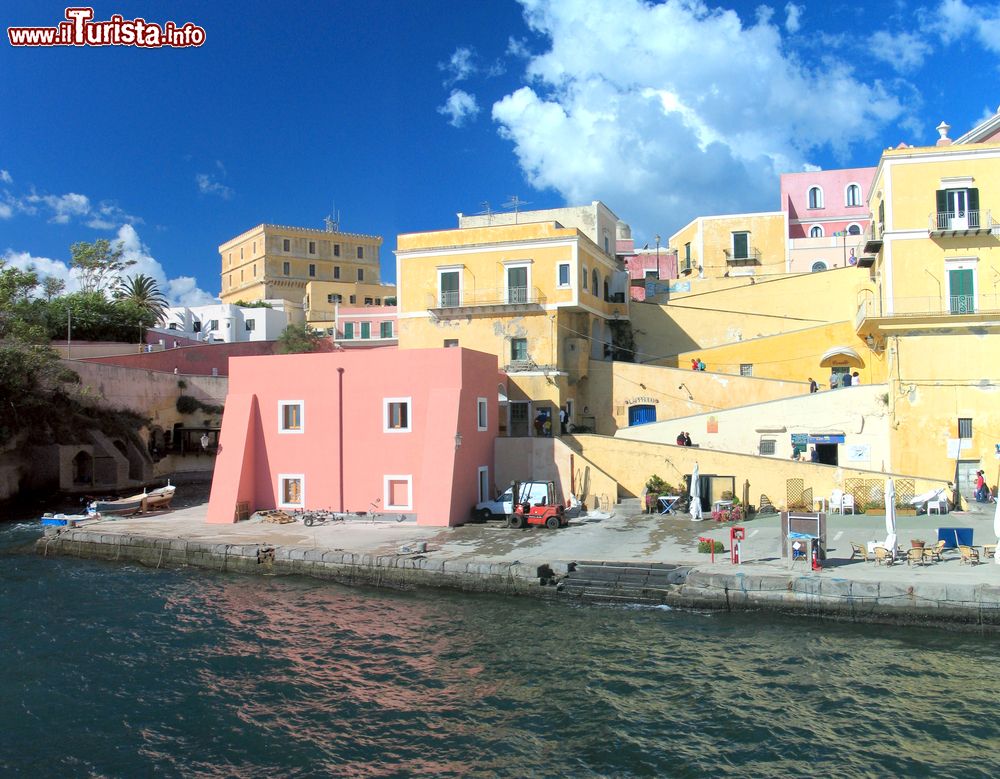 Immagine Isola di Ventotene, le case colorate del porto romano