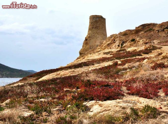 Immagine Isola Rossa, Corsica: una torre genovese  sulla costa settentrionale dell'isola