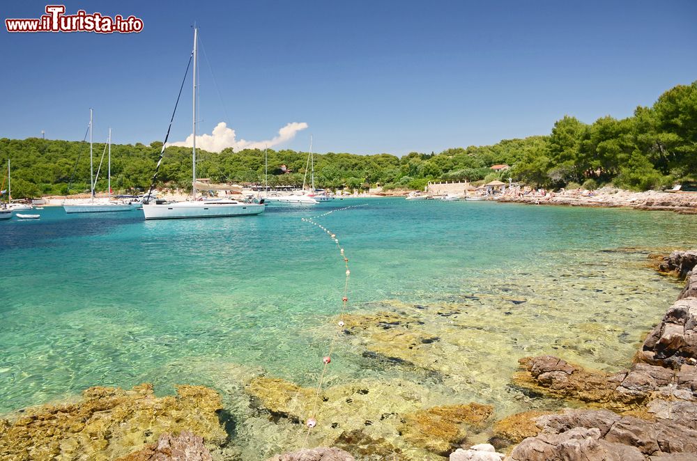 Immagine Isole Pakleni (Paklinski) si trovano nei pressi dell'isola di Hvar, in Croazia