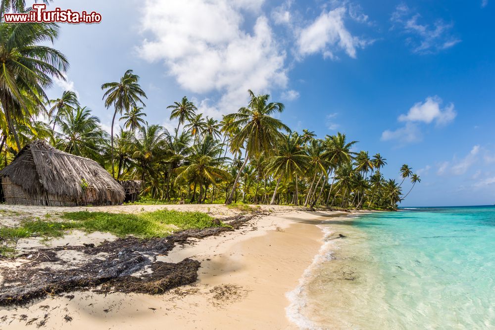 Le foto di cosa vedere e visitare a San Blas