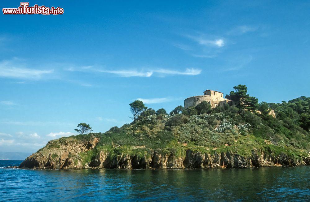 Immagine L'isolotto di Port Cros, Costa Azzurra, Francia. Larga circa 4 chilometri, si estende su un territorio di 650 ettari e il punto più elevato raggiunge i 199 metri. La sua ultima proprietaria donò questo territorio al governo francese che vi costituì l'attuale parco nazionale.