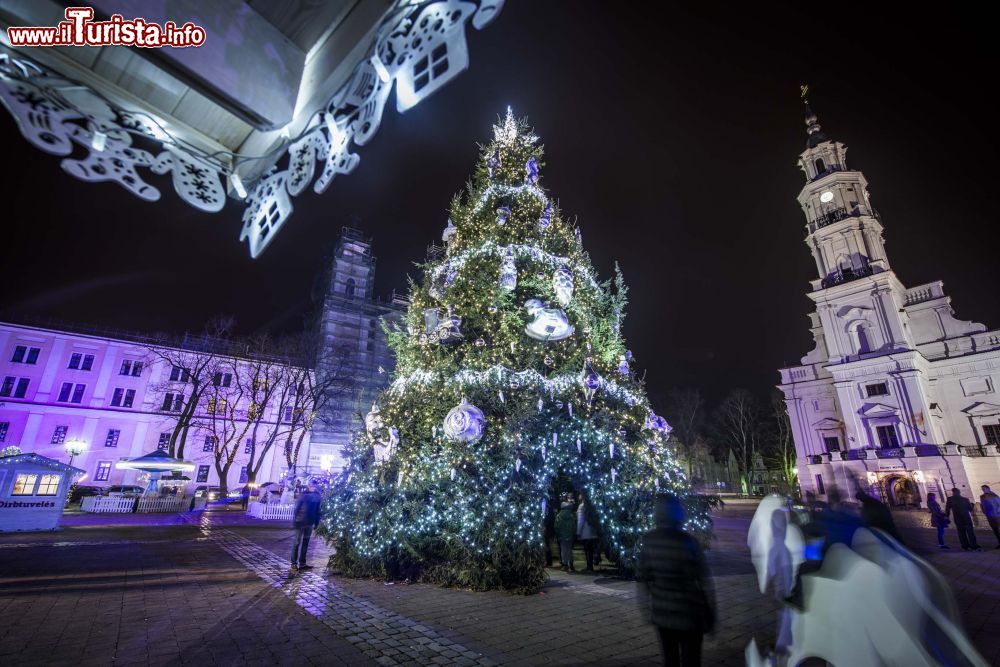 Immagine Il gigantesco albero di Natale che ogni anno viene allestito nella Piazza del Municipio di Kaunas (Lituania).