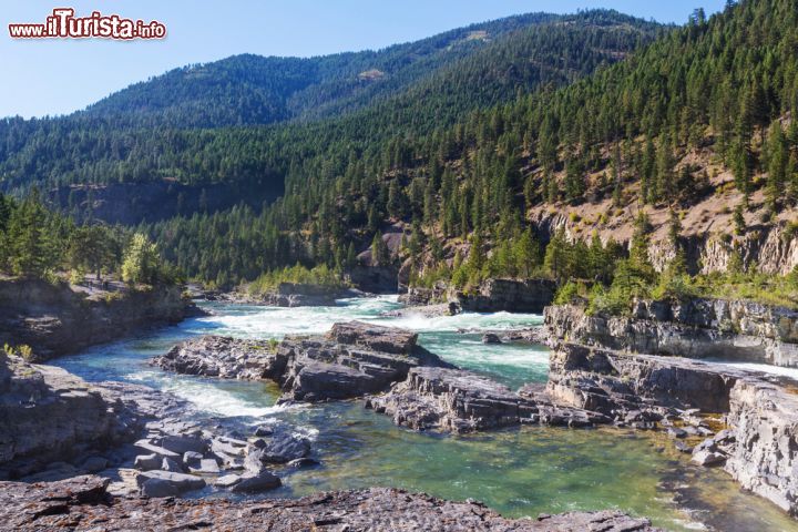 Immagine Le Kootenai Falls si trovano nei pressi di Libby, tra le montagne del Montana. Tra queste rapide spettacolari sono state effettuate le scene della caduta di Leonardo di Caprio, protagonista del film Revenant, Redivivo, che gli ha valso un oscar come migliore attore protagonista.- © Galyna Andrushko / Shutterstock.com