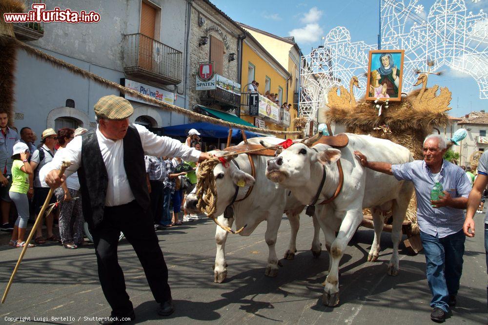 Immagine Il centrro di Jelsi durante la festa del Grano a Luglio. - © Luigi Bertello / Shutterstock.com