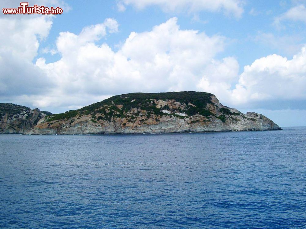 Immagine L'isola di Gavi si trova a ridosso della costa nord di Ponza, Isole Pontine - © Ita01, CC BY-SA 3.0, Wikipedia