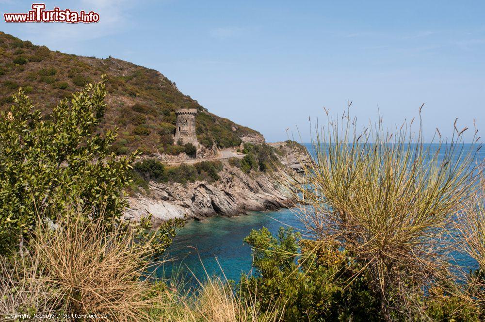 Immagine La  Torre dell'Osse nel territorio di Cagnano, Corsica. Si tratta di uno dei simboli di questa bella località situata nella penisola di Cap Corse: i resti della torre genovese risalgono al 1599 - © Naeblys / Shutterstock.com
