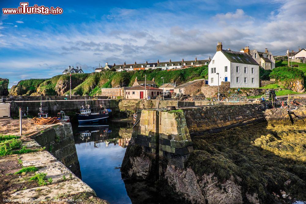 Immagine La baia del villaggio di pescatori St. Abbs in Scozia - © Phil Silverman / Shutterstock.com