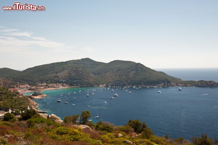 Immagine La baia di Giglio Campese, sulla costa ovest della seconda isola, per dimensioni, dell'Arcipelago Toscano - © Riccardo Meloni / Shutterstock.com