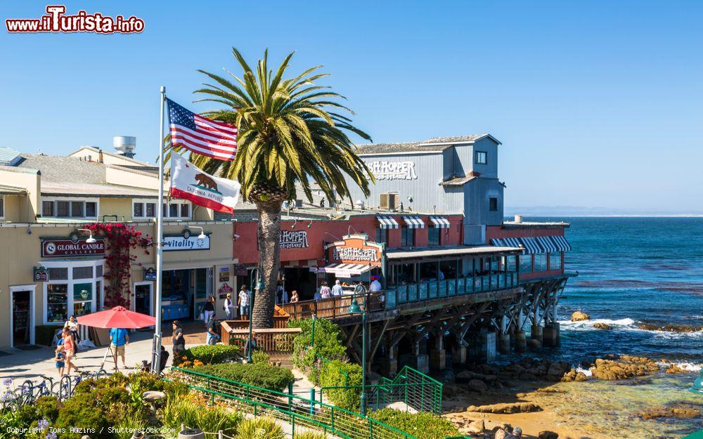 Immagine La Baia di Monterey in California, lungo la costa del Pacifico a sud di San Francisco - © Toms Auzins / Shutterstock.com