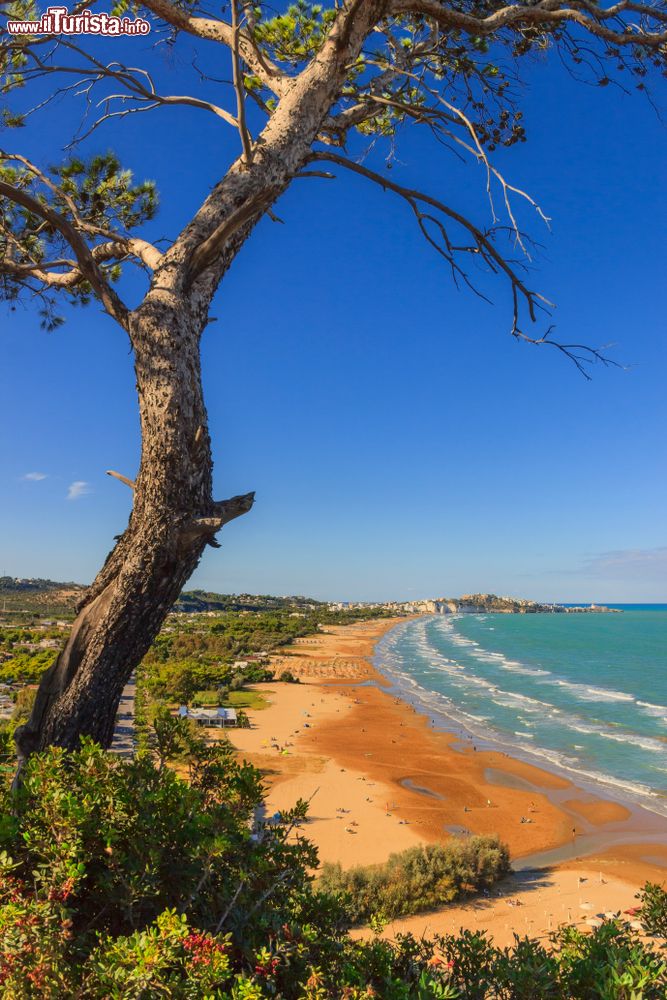 Immagine La baia di Vieste sul Gargano e una delle spiagge di Scialara in Puglia