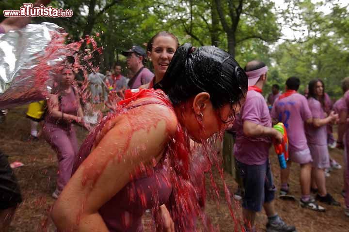 Immagine La Batalla del Vino, il particolare combattimento si svolge a fine giugno, esattamente il 29 del mese, ad Haro. In questo modo, piuttosto bizzarro, viene celebrata la festività di San Pedro, patrono della città - © Rioja Turismo