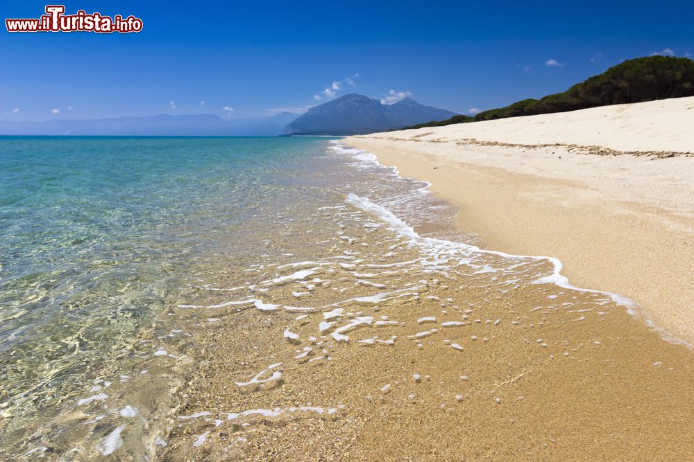 Immagine La bella spiaggia di  Su Barone a Orosei, costa orientale della Sardegna