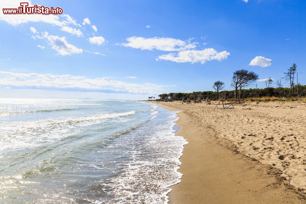 Immagine La bella spiaggia di Marina di Alberese in Toscana, Maremma