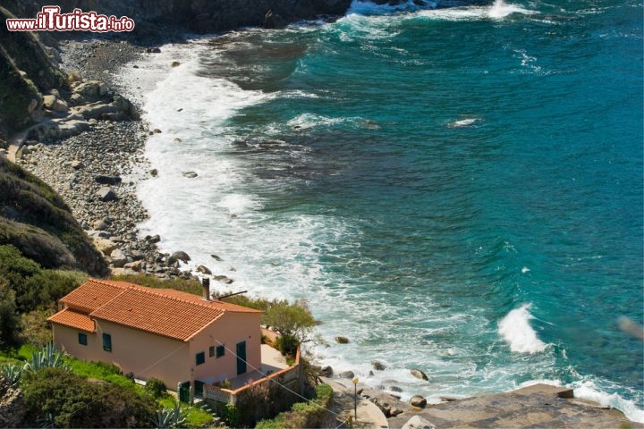 Immagine La bella spiaggia di Patresi, isola d'Elba, Toscana. Il fondale popolato da numerose specie di pesci, crostacei e flora marina, la rende perfetta anche per gli appassionati di snorkeling e immersioni.