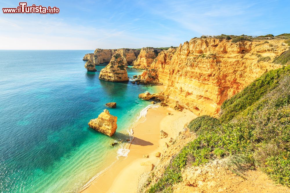 Immagine La bella spiaggia di Praia da Rocha a Portimao in Algarve (Portogallo)