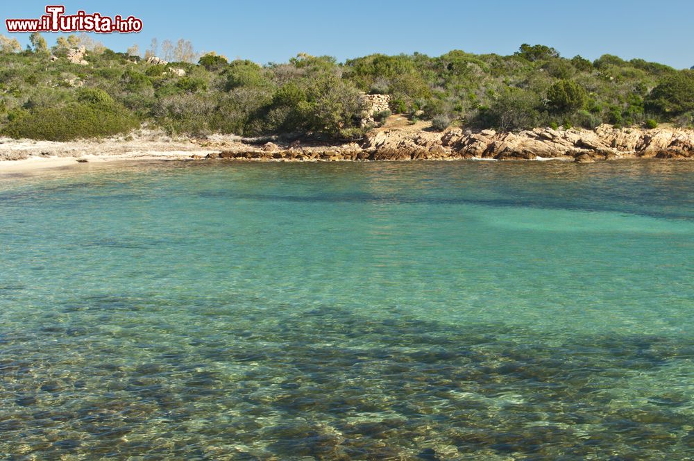 Immagine La bella spiaggia di Sas Enas Apparas in Sardegna, una delle spiagge di Olbia