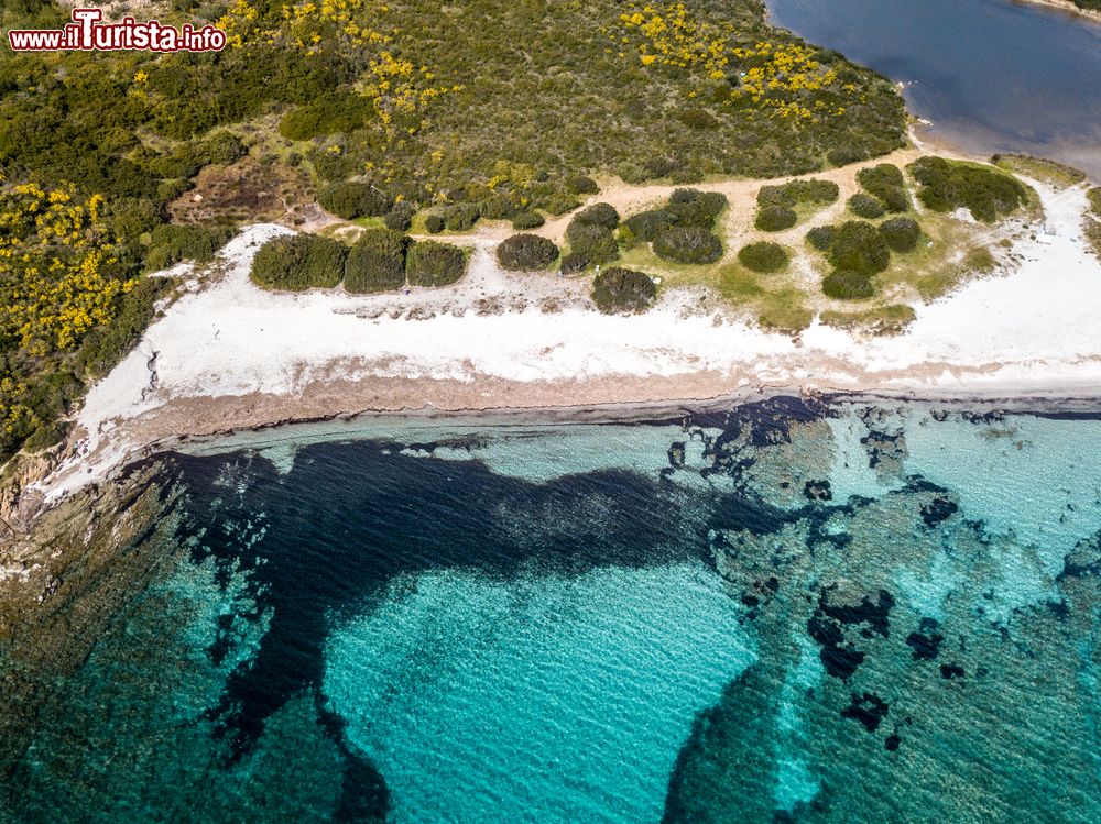 Immagine La bella spiaggia du Cala Banana e Bados vicino ad Olbia, nord della Sardegna