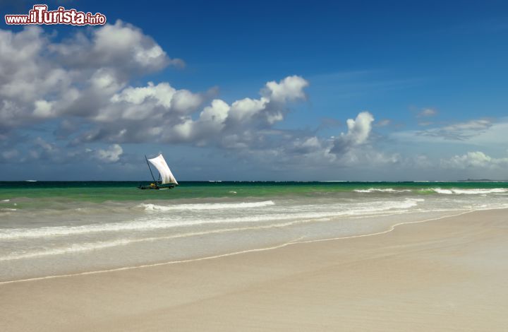 Immagine Il vento dell'Africa soffia su Diani Beach, Kenya - è l'oceano il grande protagonista di Diani Beach, località balneare tra le più frequentate del Kenya. La costa kenyota si affaccia infatti sull'impetuoso oceano indiano che, grazie alla barriera corallina, regala ai turisti di Diani Beach un mare cristallino e una sabbia bianca finissima.  - © Eduard Kyslynskyy / Shutterstock.com