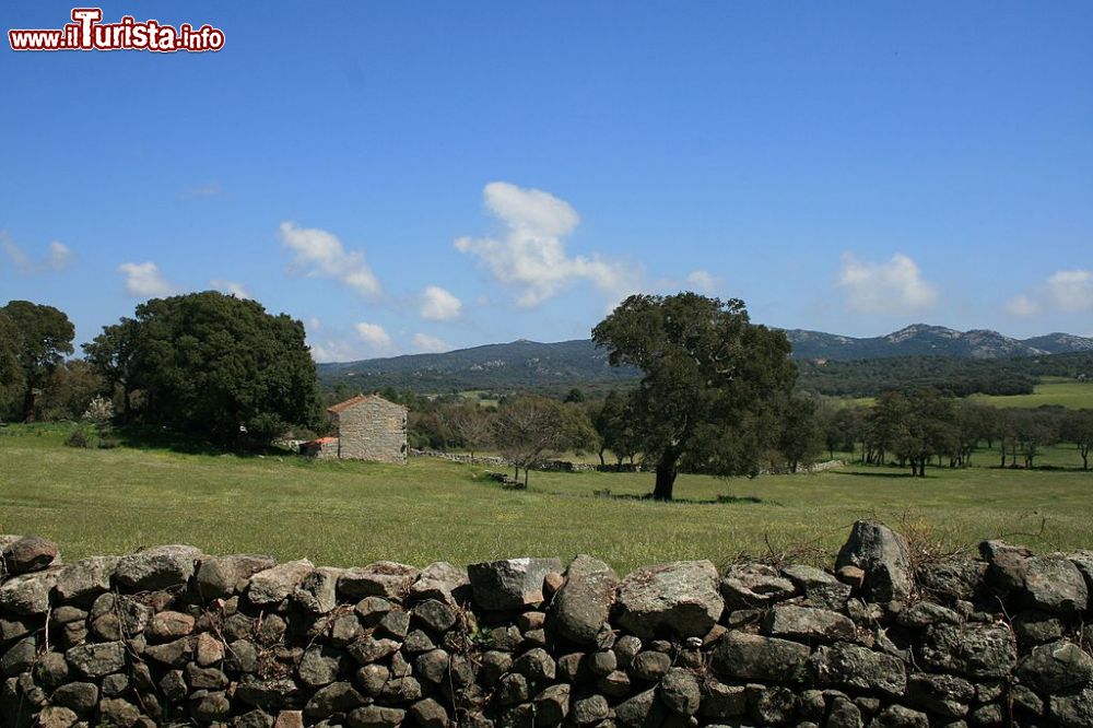 Immagine La campagna intorno a Sotta, Corsica sud-orientale - © Commune de Sotta - CC BY-SA 4.0, Wikipedia