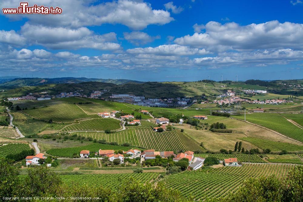 Immagine La campagna nei dintorni di Torres Vedras, Portogallo - © studio f22 ricardo rocha / Shutterstock.com