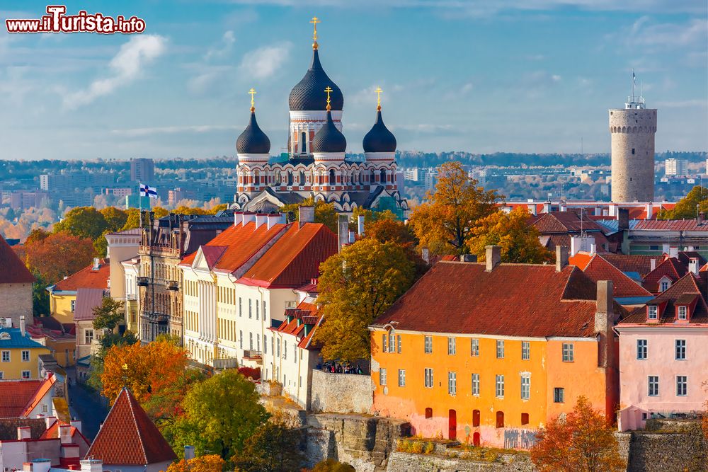 Le foto di cosa vedere e visitare a Estonia