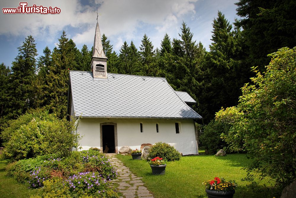 Immagine La cappella di San Martino nei pressi di Furtwangen, Foresta Nera, Germania. 